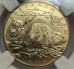 Золотая монета 100 рублей Бобр в слабе ННР MS 70